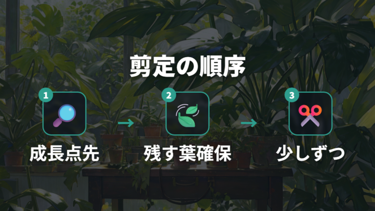 剪定で小さく整える方法は成長点と残す葉を先に決める