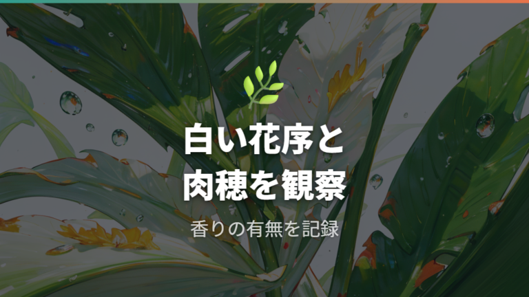 花と実の見た目や香りを知って観察する