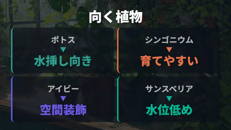 水耕栽培に向く観葉植物を定番から選ぶ
