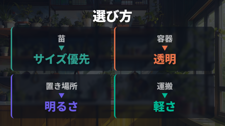 苗と容器の選び方は透明容器とサイズ感が基準