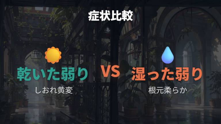 根腐れとの症状の違いは乾いた弱り方か湿った弱り方かで比べる