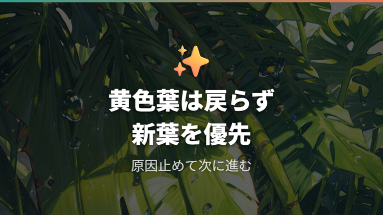 黄色い葉は元に戻るのかを先に理解する
