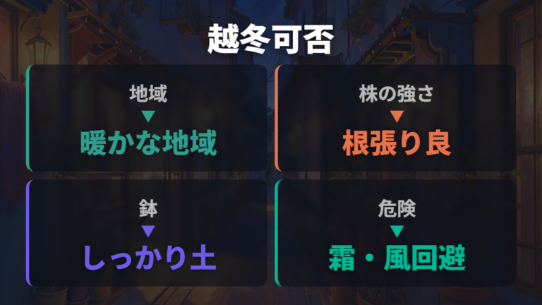 屋外やベランダで冬越しできる条件は地域と株の強さで変わる