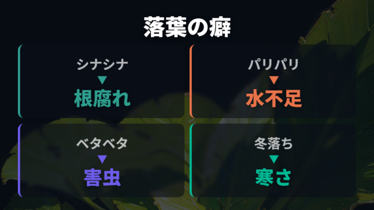 葉が落ちるときの原因を状態別に比べる