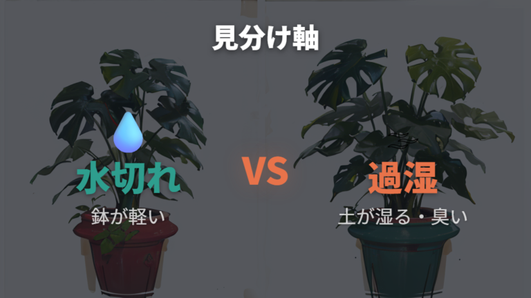 水やりと根腐れのサインを土と鉢の重さで比べる