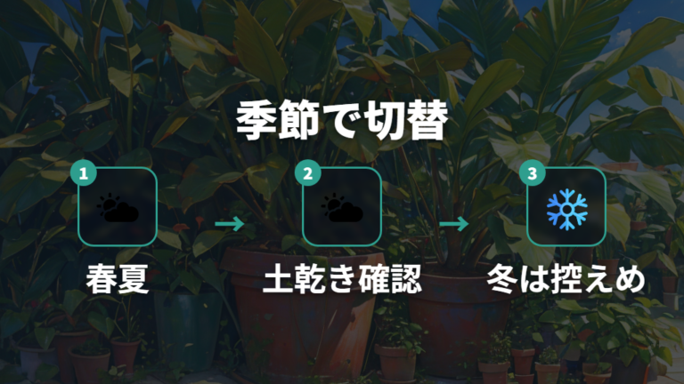 水やりと置き場所のコツを季節で切り替える