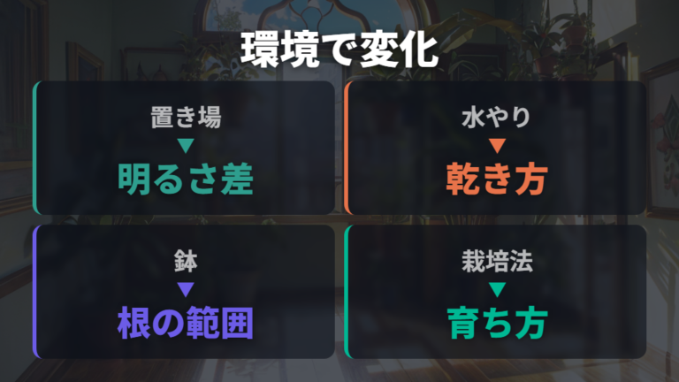 成長速度の目安は環境差を前提に見る