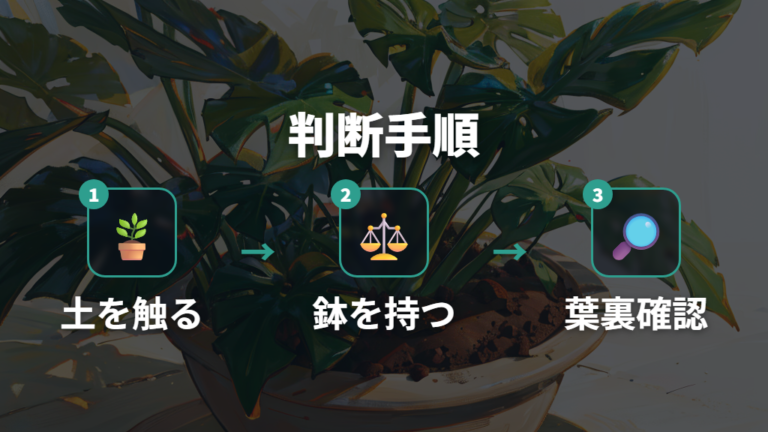 水不足と水のやりすぎは土で見分ける