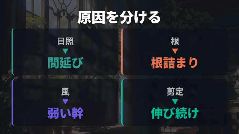幹が太らない主な原因を日照・根・風で切り分ける