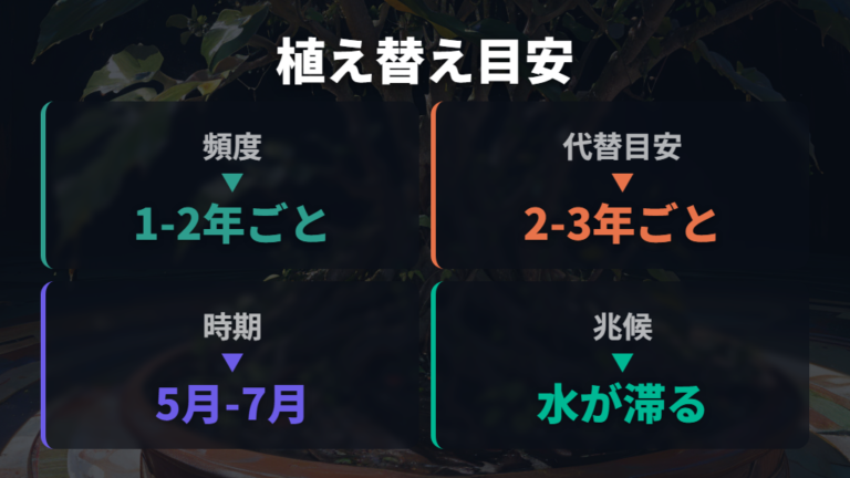 根詰まりと枝の弱りの関係を植え替え目安で比べる
