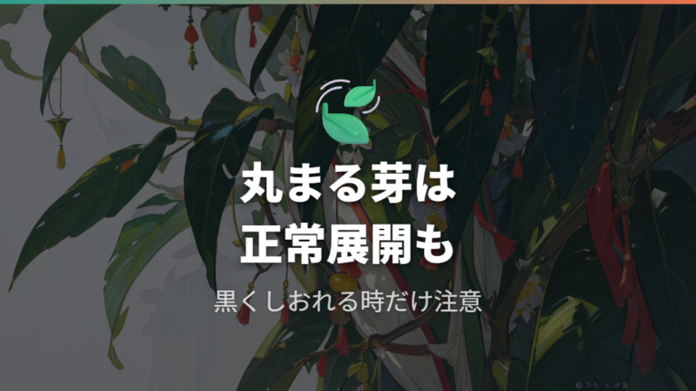 新芽が枯れる・丸まる原因は正常と異常を分ける