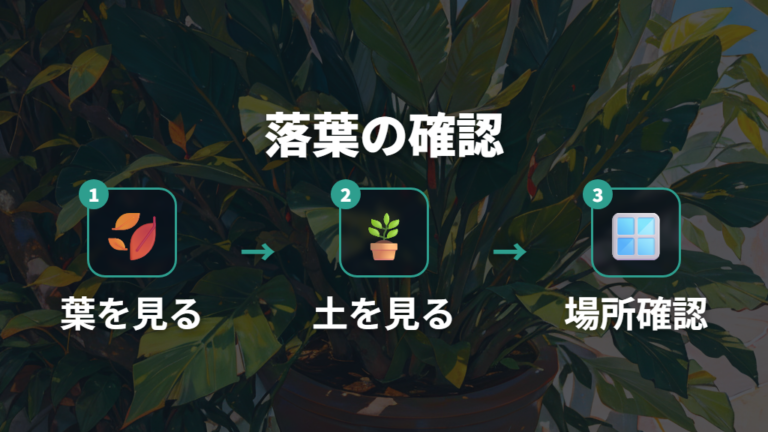 葉が落ちるときの水やり対処を原因別に進める