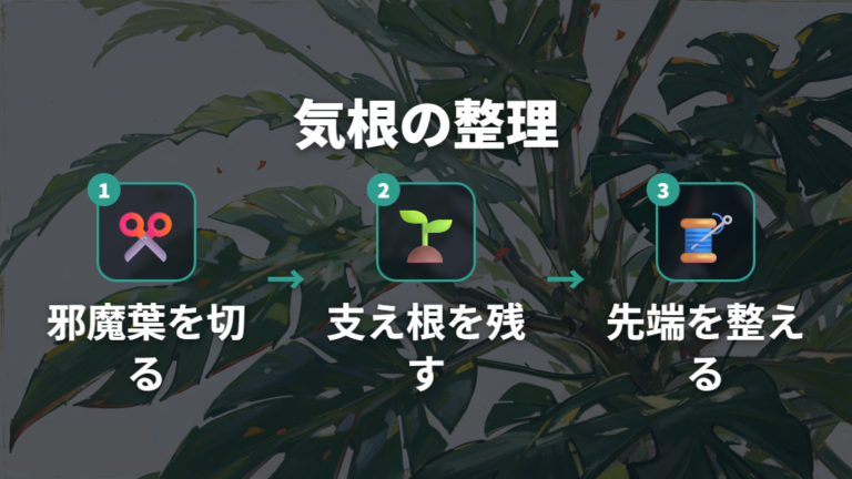 剪定と気根の扱い方は切る部分と残す部分を分ける