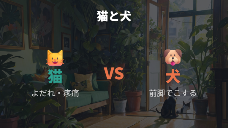 犬がかじった時の注意点を猫との違いも含めて見る