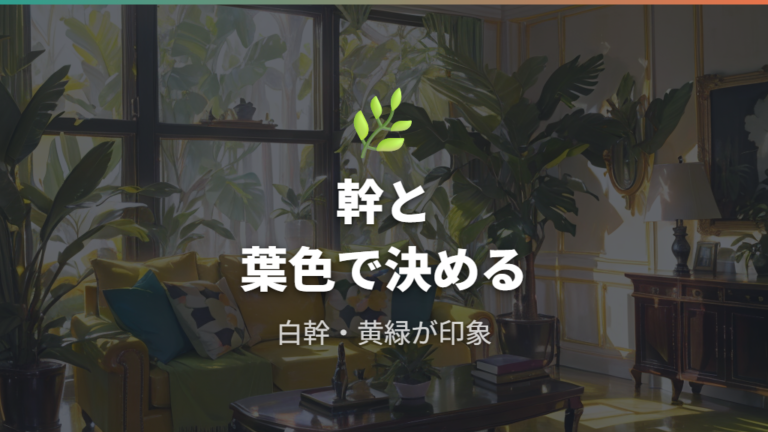 ベンガレンシスやアルテシマとの違いは葉色と幹の雰囲気で見る