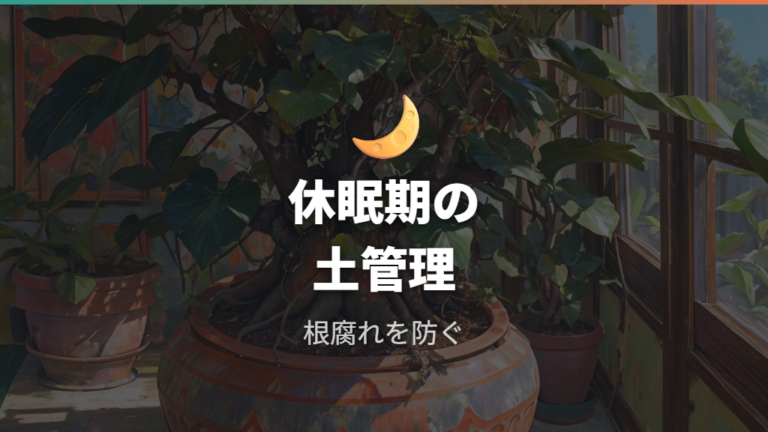 休眠期の水やりと肥料管理で根腐れを防ぐ