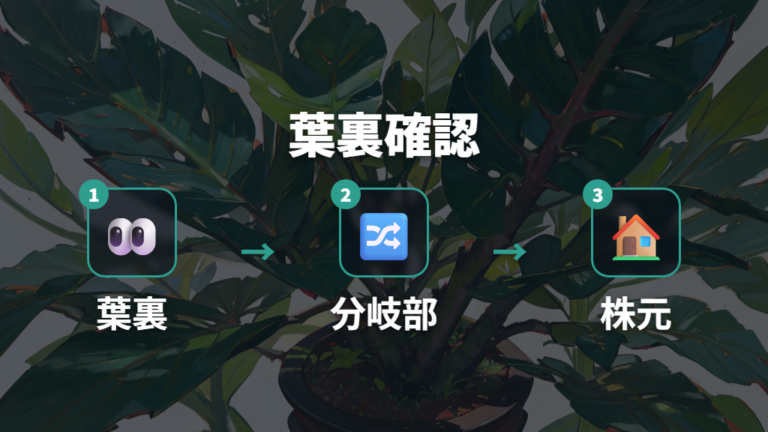 害虫がいるときの見分け方は葉裏と分岐部を見る