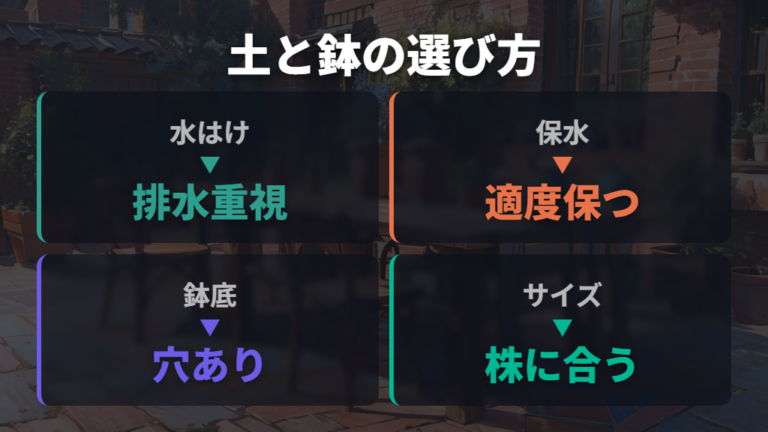 モンステラに合う土と鉢は水はけとサイズで選ぶ