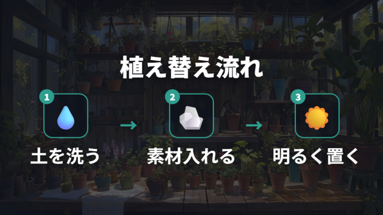 ハイドロカルチャーへの植え替え方を順番に進める