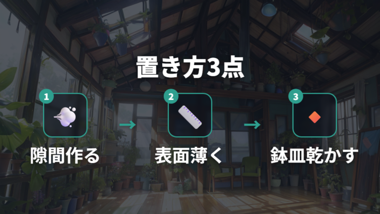 カビや虫を防ぐ置き方は風通しから整える