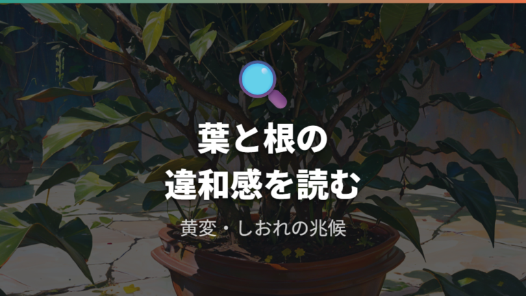 枯れる前に出やすいサインは葉と根に出る