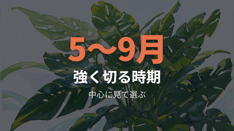 剪定に向く時期と注意点は強く切るほど慎重に見る