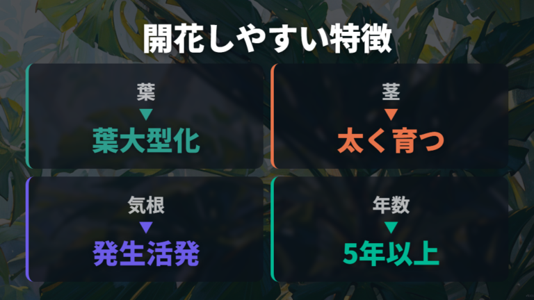 開花しやすい株の特徴を葉・茎・根で見る