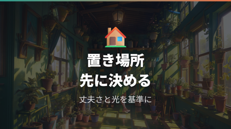 初心者向けの植物の選び方は丈夫さと置き場所で決める