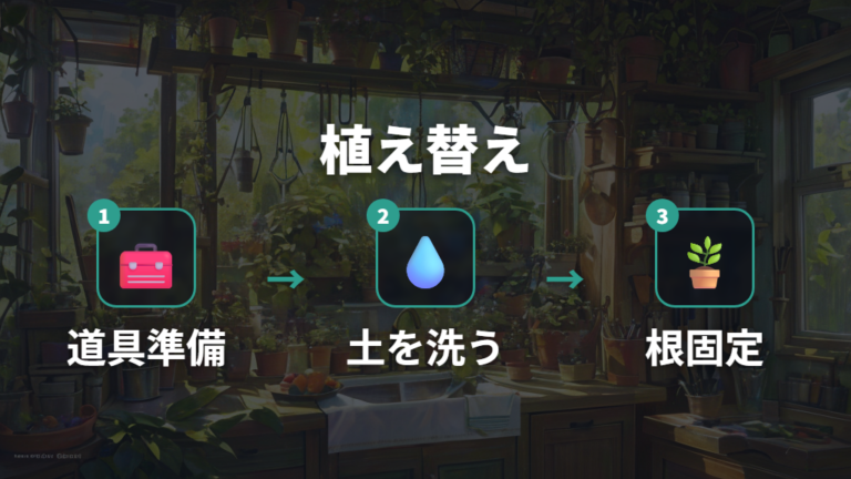 土から植え替える手順の全体像を先に押さえる