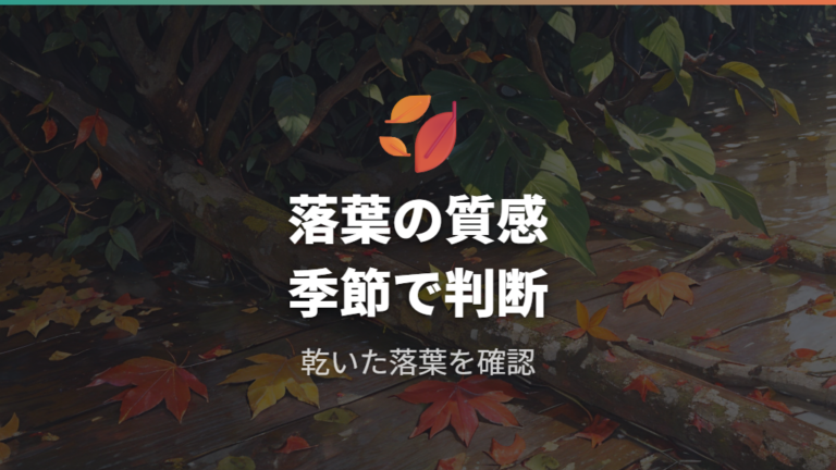 葉が落ちる原因の見極めは落ちた葉の質感と季節を確認する