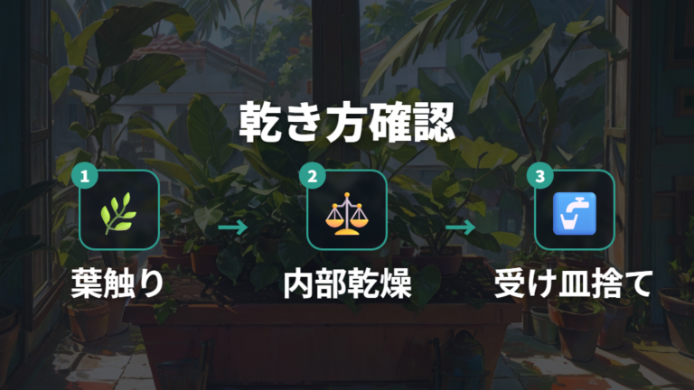 水不足と水のあげすぎは乾き方で対処を変える