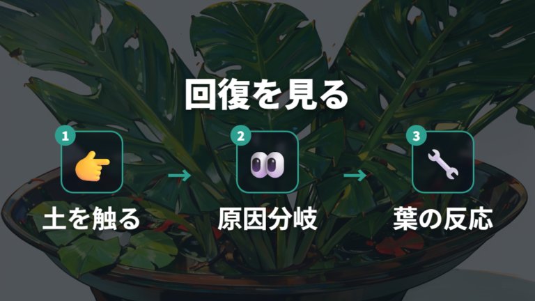 水切れと水のやりすぎの違いは回復反応まで見る
