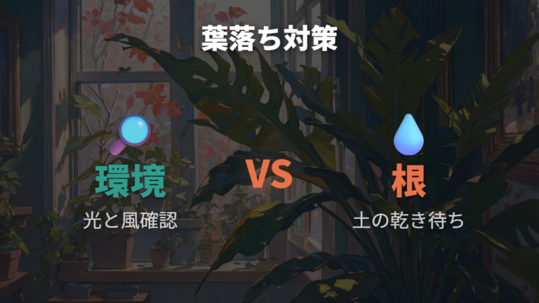 葉が落ちる原因と対処法を環境から見直す