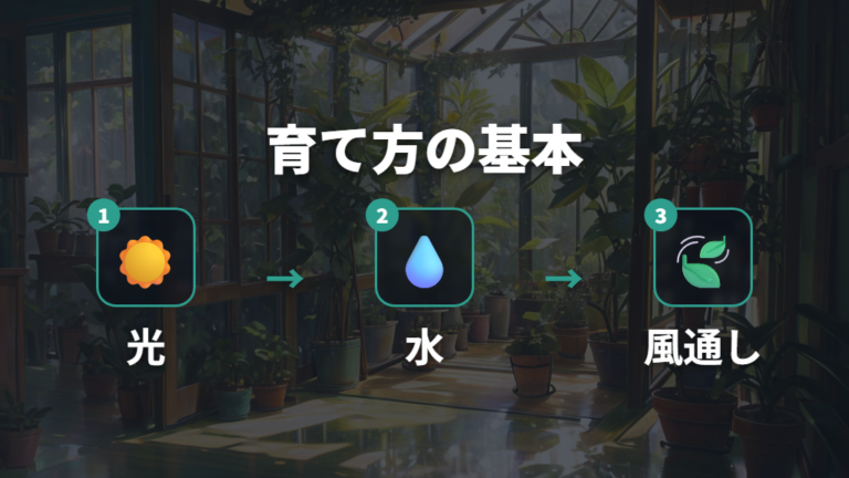 成長を促す育て方の基本は光・水・風通し