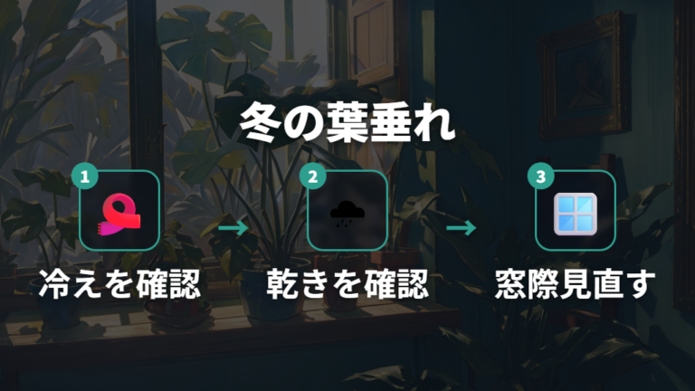 寒さや日光不足による葉垂れは冬の水やりも一緒に見直す