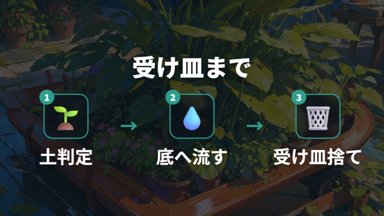 根腐れを防ぐ水やり管理は受け皿まで確認する