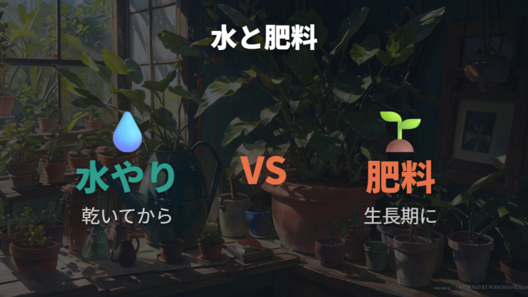 水やりと肥料で成長を促すときの注意点