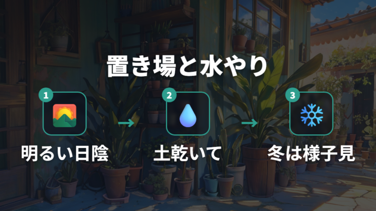 子株を育てる置き場所と水やりの基本