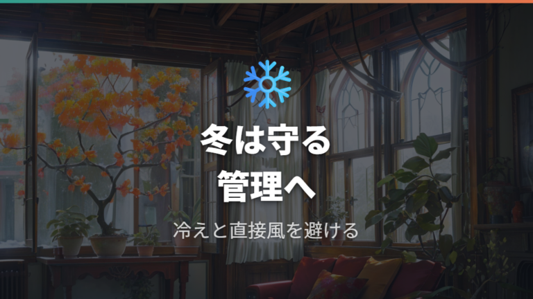 冬に小さい葉が出るときは寒さや成長の鈍りを見る