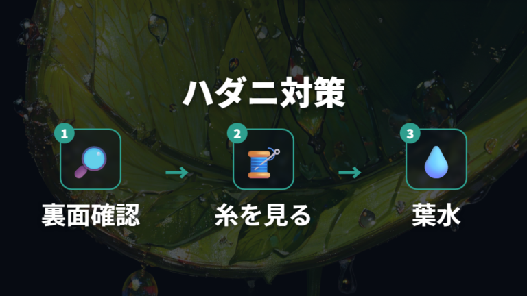 ハダニによる葉の色抜けは葉裏と糸をチェックする