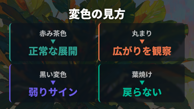 新芽の変色で見るトラブルと葉焼けの違い