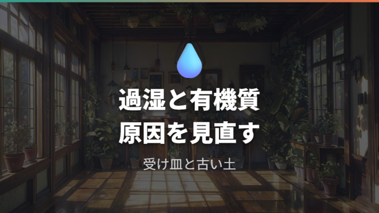 白い虫が発生する原因は過湿と有機質に注目する