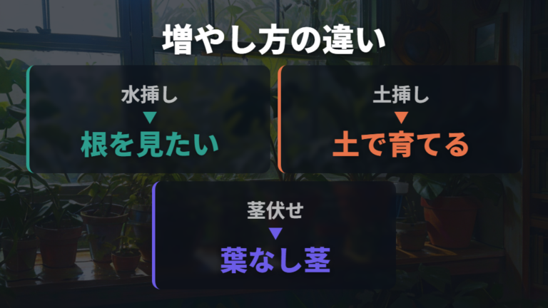 水挿しと土挿しと茎伏せの違いを比べる