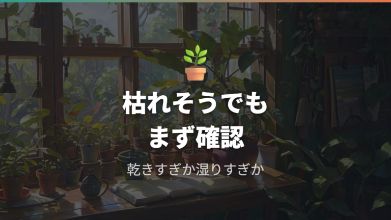 枯れそうなときの水やり改善は復活サインを確認する