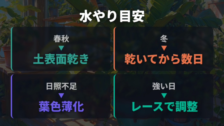 日当たりと水やりの目安は季節と土の乾きで変える