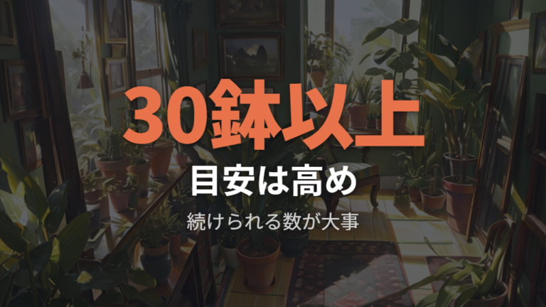 部屋に置く鉢数の目安は数鉢で劇的効果を狙わない