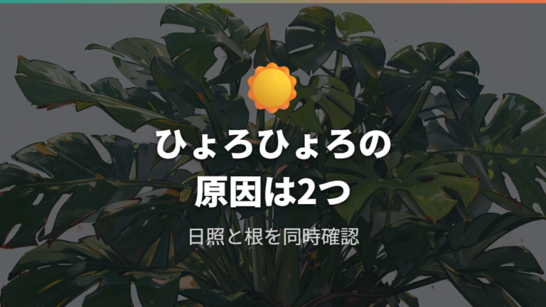 幹立ち風に見えにくい原因は支柱不足だけでなく日照不足や根の不調にもある
