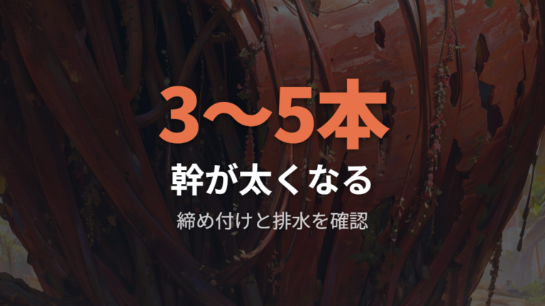 幹が太くなった時の注意点は締め付けと水の抜けにある
