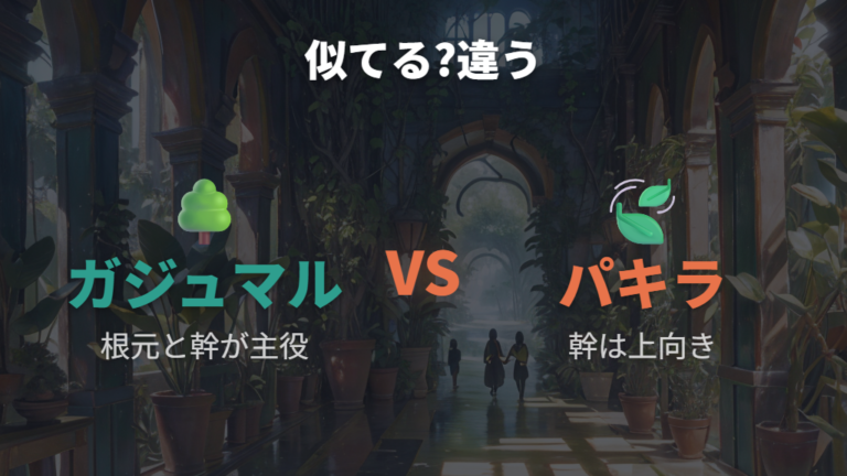 パキラやマングローブはガジュマルと何が違う?