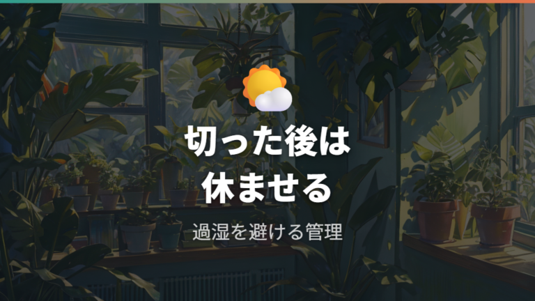 根を切った後に枯らさない管理は水・日陰・肥料を控えめにする